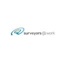 Surveyors@work