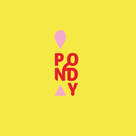 Pondy Studio