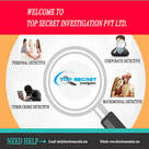 Top Secret Investigation Agency