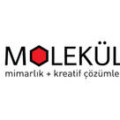 MOLEKÜL MİMARLIK