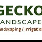 Gecko Landscape Solution