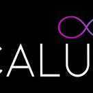 Calus Innovation LLP