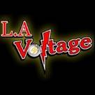 LA VOLTAGE INC