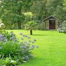 Alma Jardineria y Paisajismo