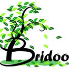 Bridoor