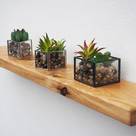 Handcrafted Shelves