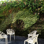 Vertical Garden – Jardim Vertical e Paisagismo Corporativo