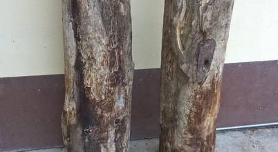 Twin Towers: Kunst von Holzwurm by pm