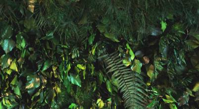 FlowerArt GmbH | styleGREEN