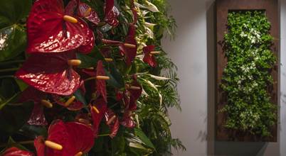 Vertical Green Design