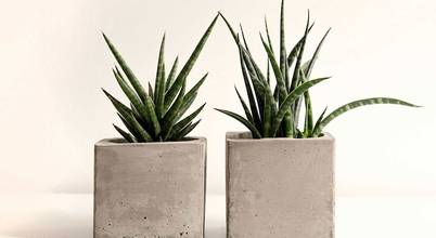 CHITING CHANG – HOMIFY