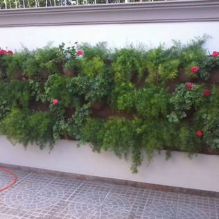 Garden by Borges Arquitetura & Paisagismo