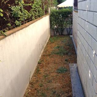 Garten Design und Gestaltungsideen - Artikel