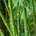 Punto Verde Bamboe toepassingen