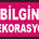 Bilgin Dekorasyon