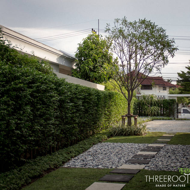 สวนคุณพาฝัน: by Threeroots Group Co.,Ltd.