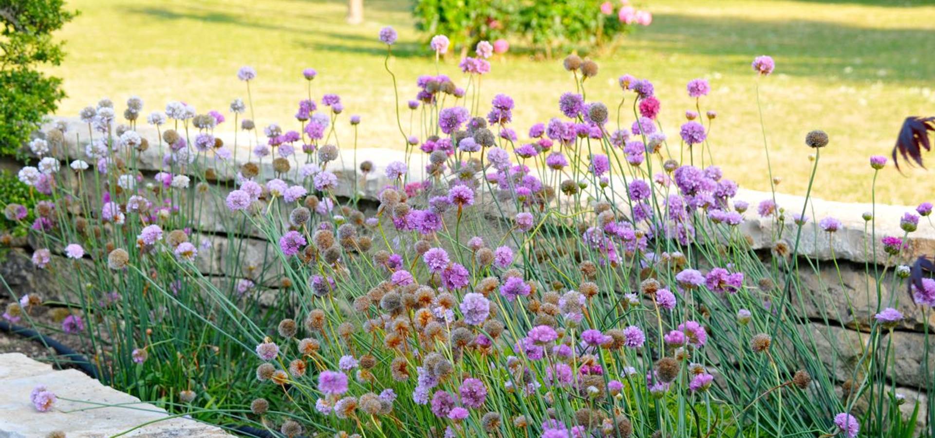 Jardin au Carré