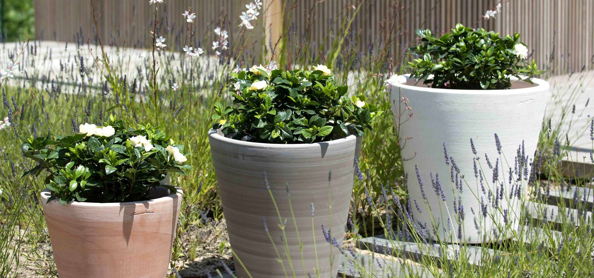 Goicoechea Poterie Osses Poterie Goicoechea Artistes Artisans A Osses Sur Homify