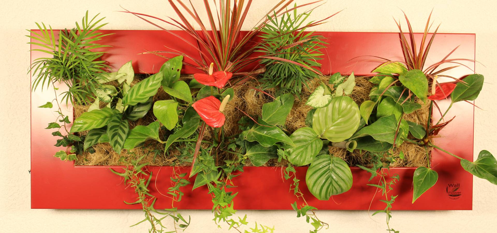 WallFlower tamaño Grande homify