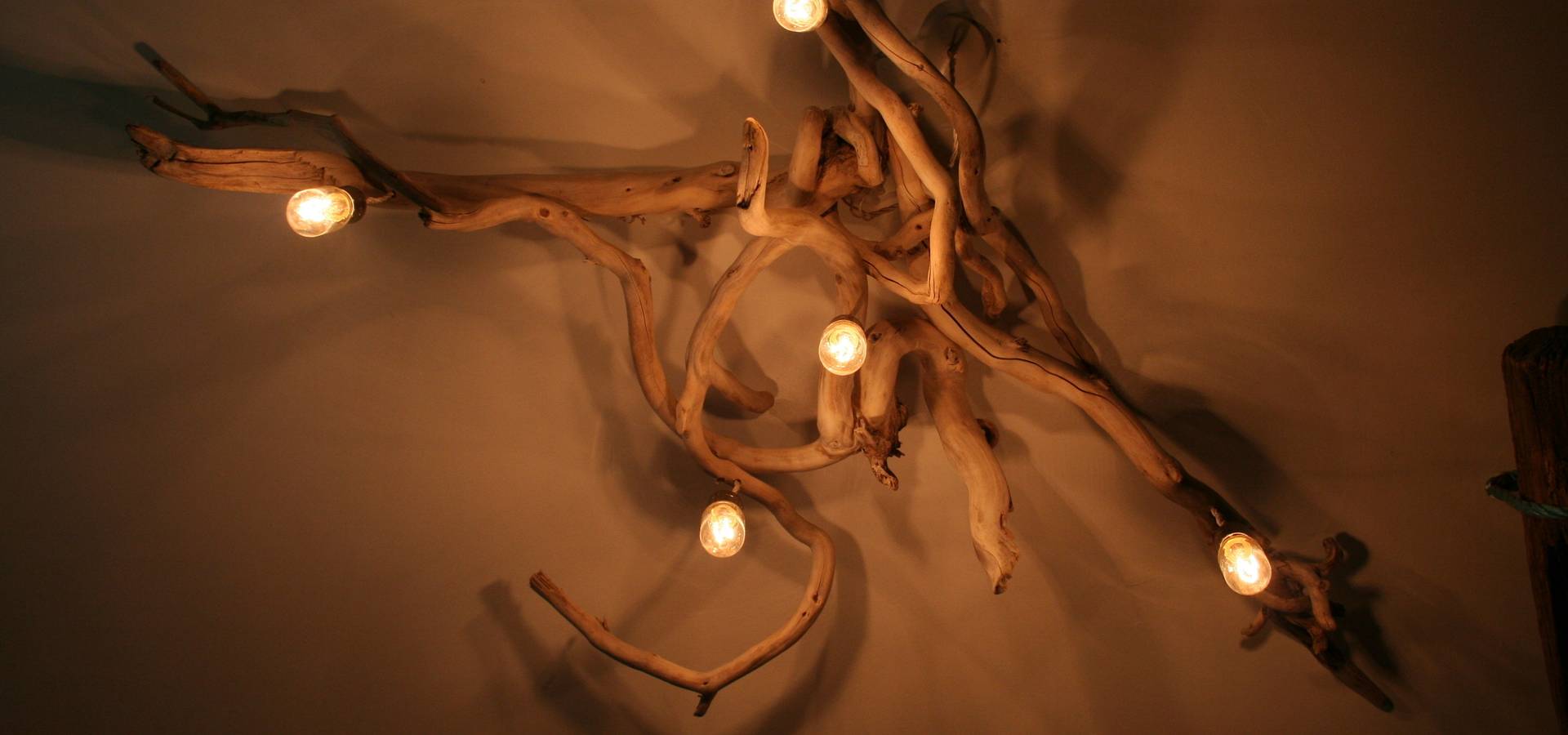 Julia's Driftwood