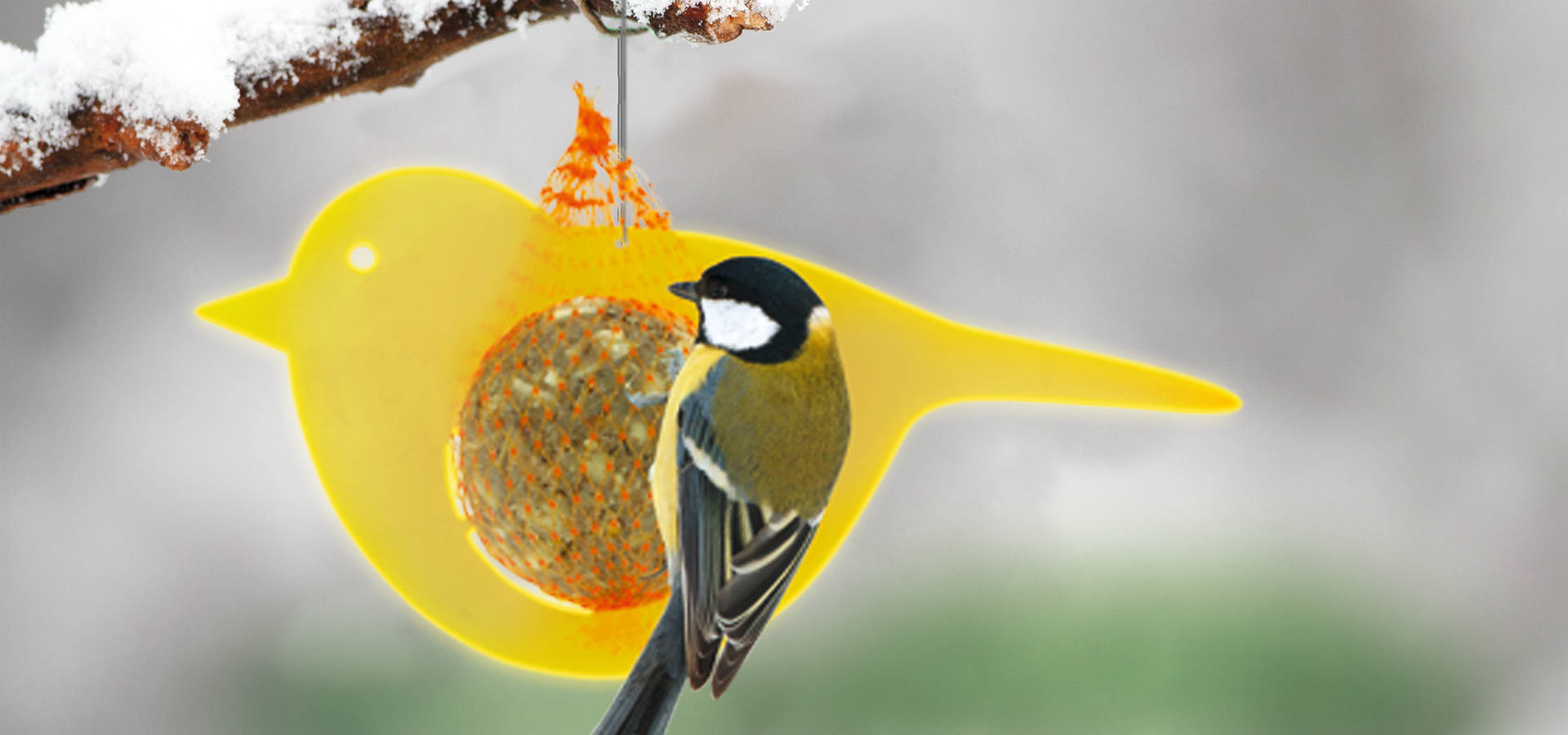 BIRDI Homify