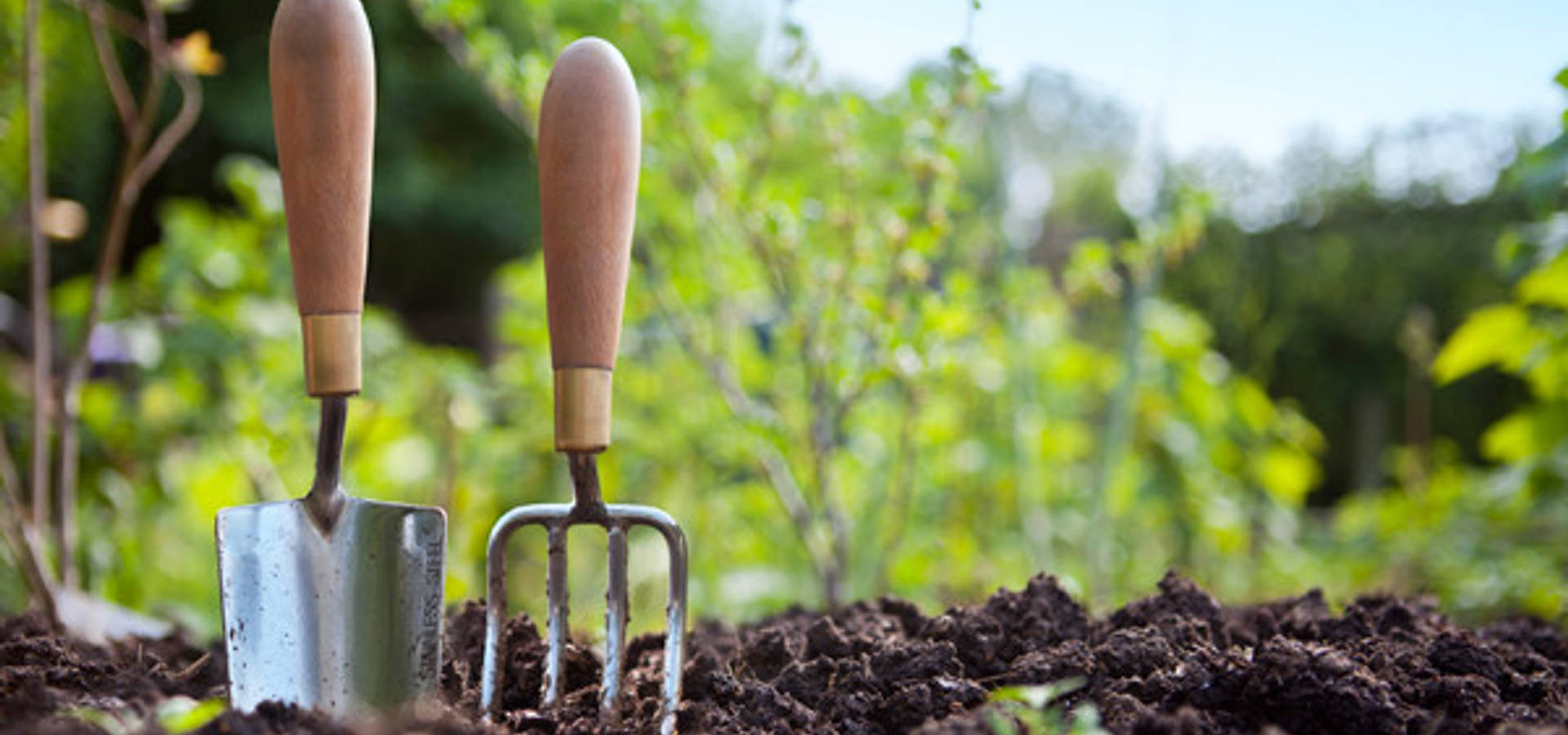 Gardener Warrington