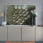 CONSCIOUS DESIGN - INTERIORS