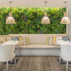 Wonder Wall - Jardins Verticais e Plantas Artificiais