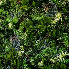 Wonder Wall - Jardins Verticais e Plantas Artificiais