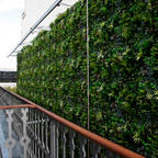 Wonder Wall - Jardins Verticais e Plantas Artificiais