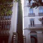 Wonder Wall - Jardins Verticais e Plantas Artificiais