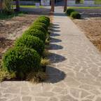 LUCIA PANZETTA - PAESAGGISTA