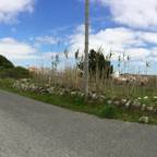 Andreia Anjos - Arquitectura, Design e Construção