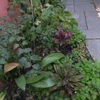 Maria Mayer | Interior & Landscape Design