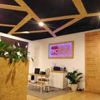 IIP - Reabilitação e Construção