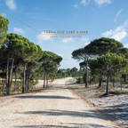 Propriété Générale International Real Estate