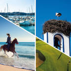 Propriété Générale International Real Estate