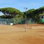 Propriété Générale International Real Estate