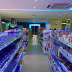 Arechiga y Asociados