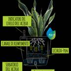 about the fit srls divisione Gotogreen