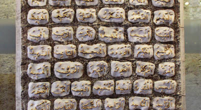 Ahmet Nejat Birdevrim