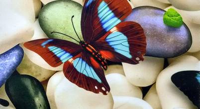 NarteksTekstil-MynarHome