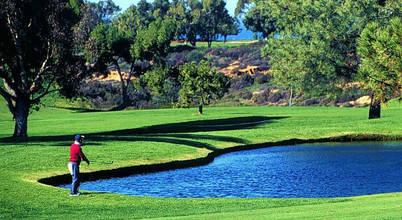 Ünal Peyzaj Ltd.Şti.