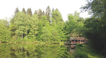 RAWCUT Design Studio