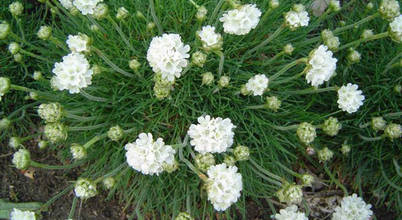Find The Right Garden Landscape Supplies In Bursa Homify