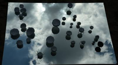 Şehriban Köksal Kurt