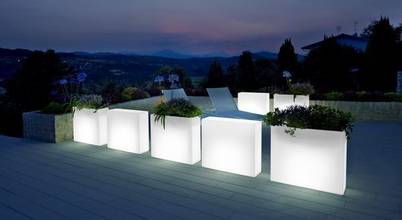 Hydroponika - Wnętrz i zieleń