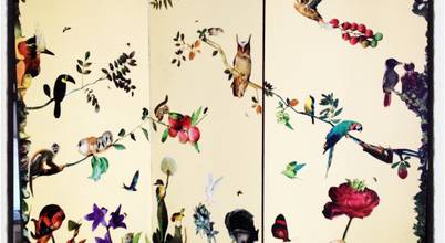 beatriz Khouri Nature Call