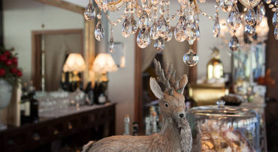 Andrea & Natalia Photography