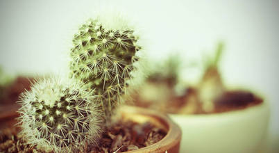 Agentur belmedia GmbH